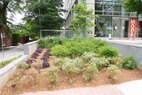 1315 Peachtree-Planting Bed