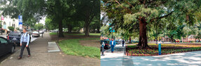 Moore-Square-before-after-3