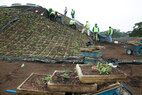 CA-academy-green-roof-construction1