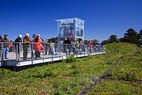 CA-academy-green-roof-viewing