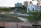 Muscota-marsh-wetlands