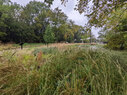 South-Oak-Cliff-rain-garden