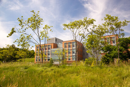 Eda U. Gerstacker Grove at the University of Michigan | Landscape ...