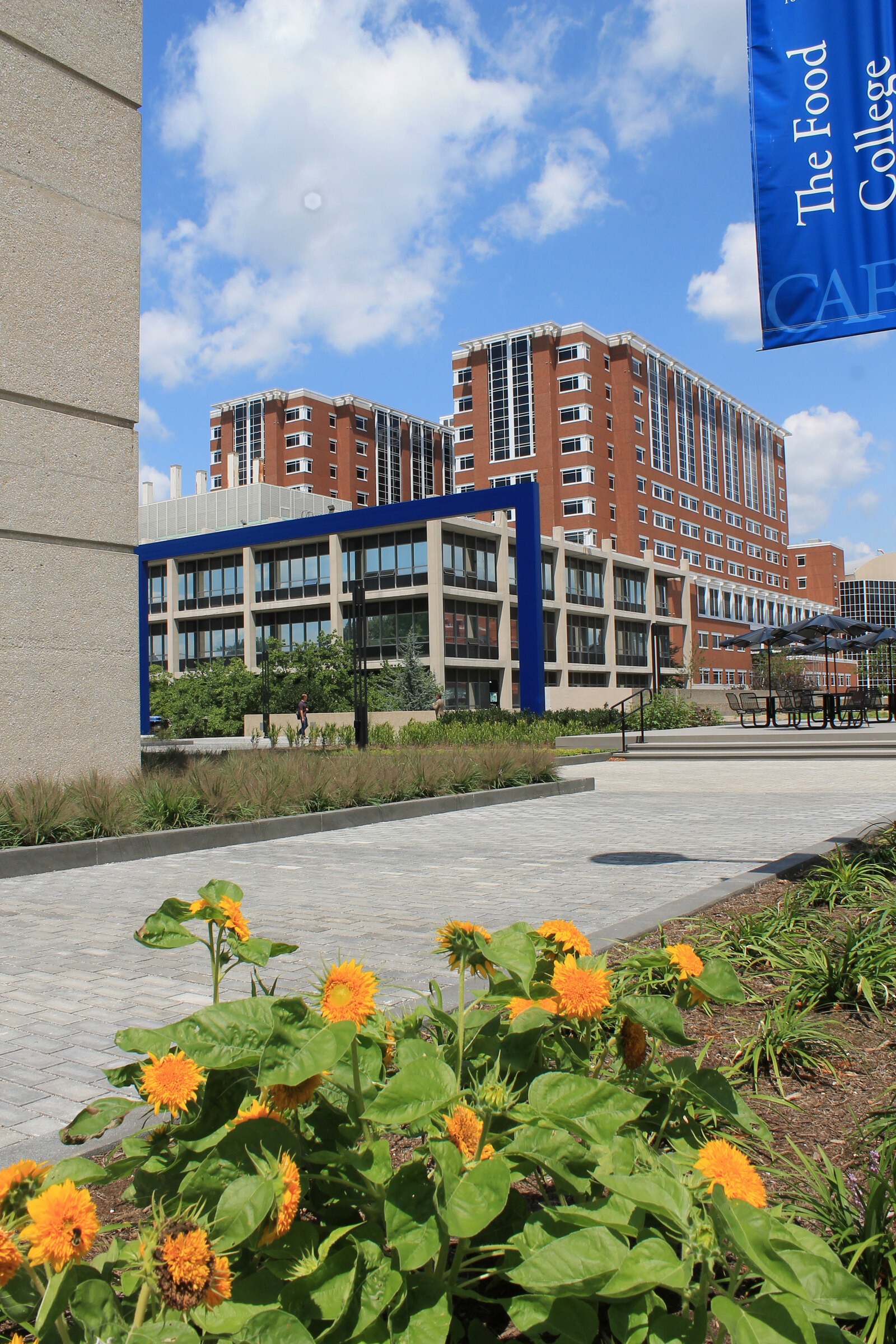 University Of Kentucky College Of Agriculture Alumni Plaza | Landscape ...