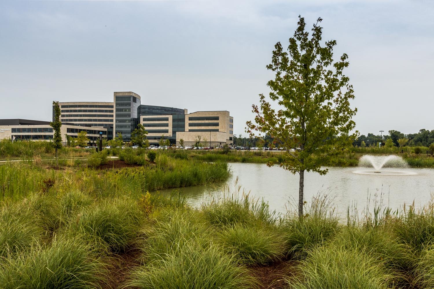 owensboro health regional hospital landscape performance series