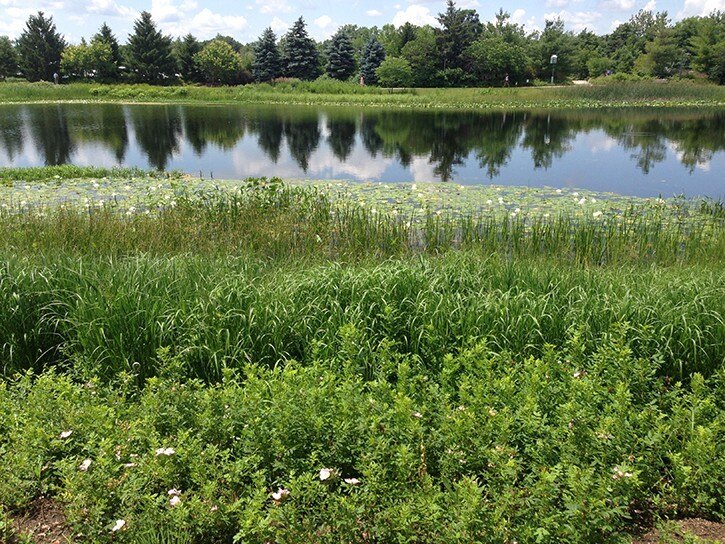 The Morton Arboretum: Meadow Lake & Permeable Main Parking Lot ...