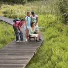 boardwalk pointing