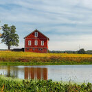 farm pond