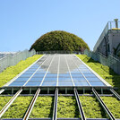 sloped green roof